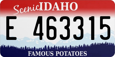 ID license plate E463315