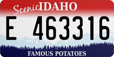 ID license plate E463316
