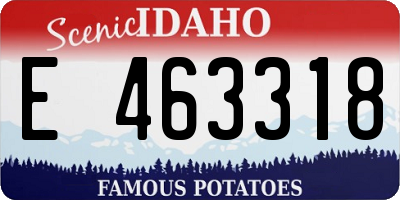 ID license plate E463318