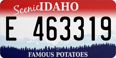 ID license plate E463319