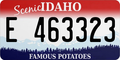 ID license plate E463323