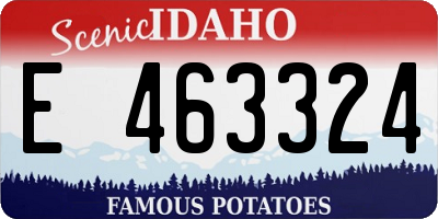 ID license plate E463324