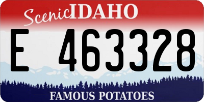 ID license plate E463328