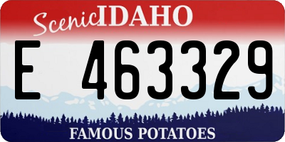 ID license plate E463329