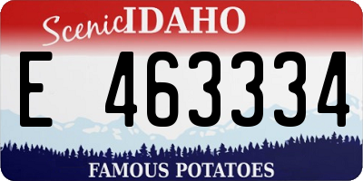 ID license plate E463334