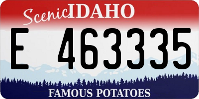 ID license plate E463335