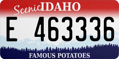 ID license plate E463336