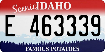 ID license plate E463339