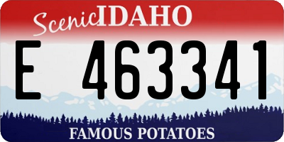 ID license plate E463341