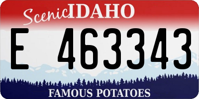 ID license plate E463343