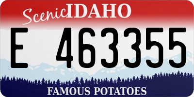 ID license plate E463355