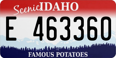 ID license plate E463360
