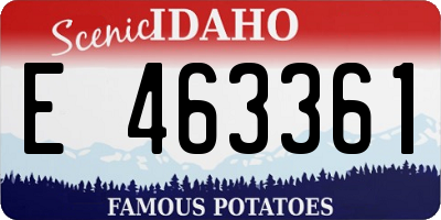ID license plate E463361