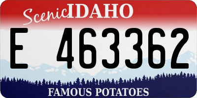 ID license plate E463362