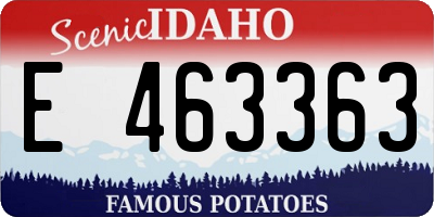 ID license plate E463363