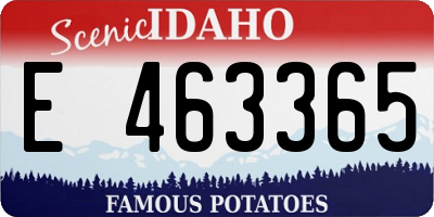 ID license plate E463365