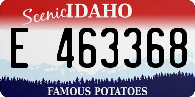 ID license plate E463368