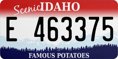 ID license plate E463375