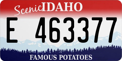ID license plate E463377