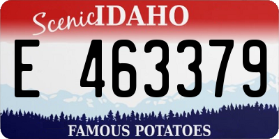ID license plate E463379