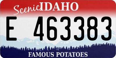 ID license plate E463383