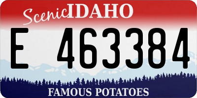 ID license plate E463384