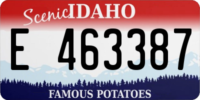 ID license plate E463387