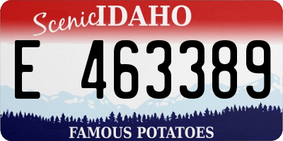 ID license plate E463389