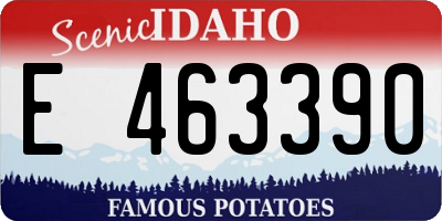 ID license plate E463390