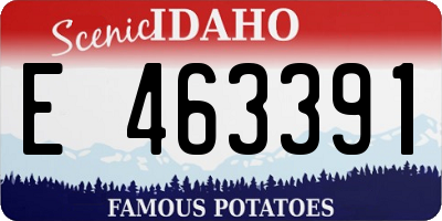 ID license plate E463391