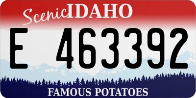 ID license plate E463392