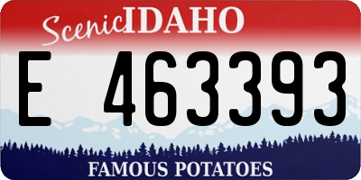 ID license plate E463393