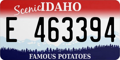ID license plate E463394