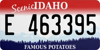 ID license plate E463395