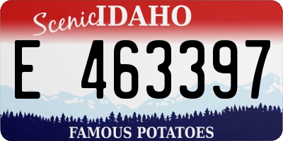 ID license plate E463397