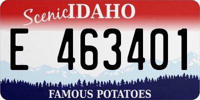 ID license plate E463401