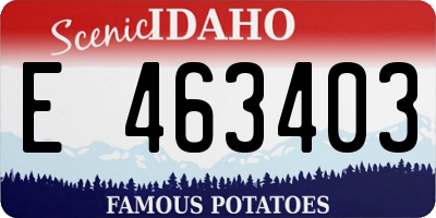 ID license plate E463403