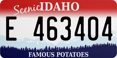 ID license plate E463404