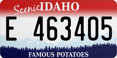 ID license plate E463405