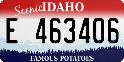 ID license plate E463406