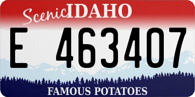 ID license plate E463407