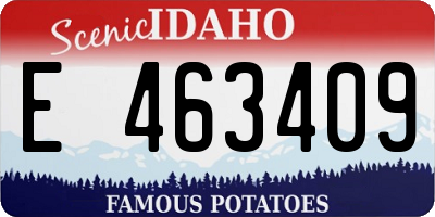 ID license plate E463409