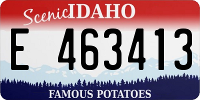 ID license plate E463413