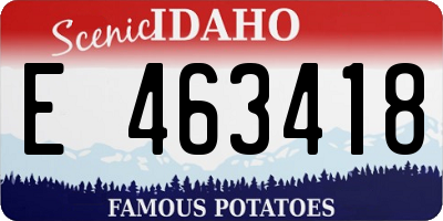ID license plate E463418