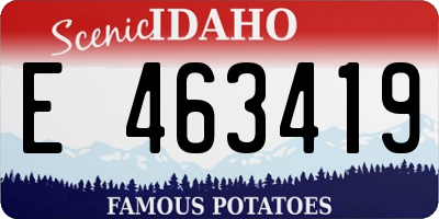 ID license plate E463419