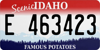 ID license plate E463423