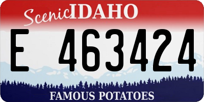 ID license plate E463424