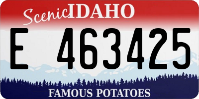 ID license plate E463425