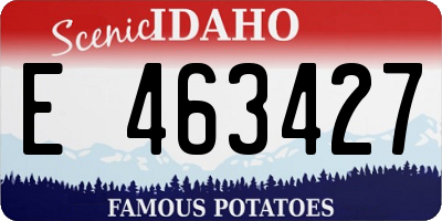 ID license plate E463427
