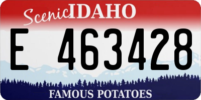 ID license plate E463428